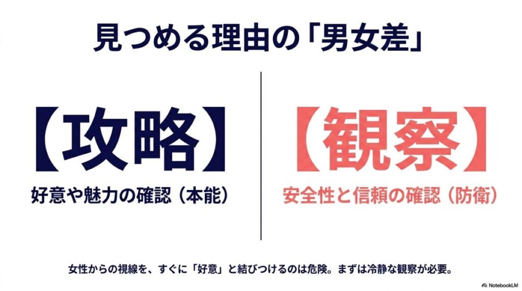 見つめる理由の男女差を解説したスライド。男性は攻略のための好意や魅力の確認、女性は観察のための安全性と信頼の確認。