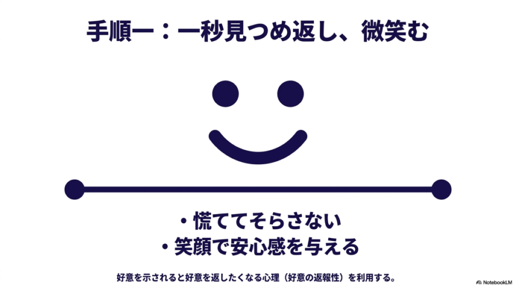 関係を進める手順一のスライド。慌ててそらさず、笑顔で一秒見つめ返すことで安心感を与え、好意の返報性を利用する。