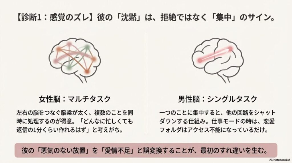 複数のことを同時に処理する女性脳と、一つのことに集中する男性脳の違いを解説した脳の図解