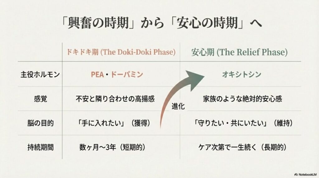 恋愛のドキドキ期（PEA）と安心期（オキシトシン）の特徴、脳の目的、持続期間を比較した表